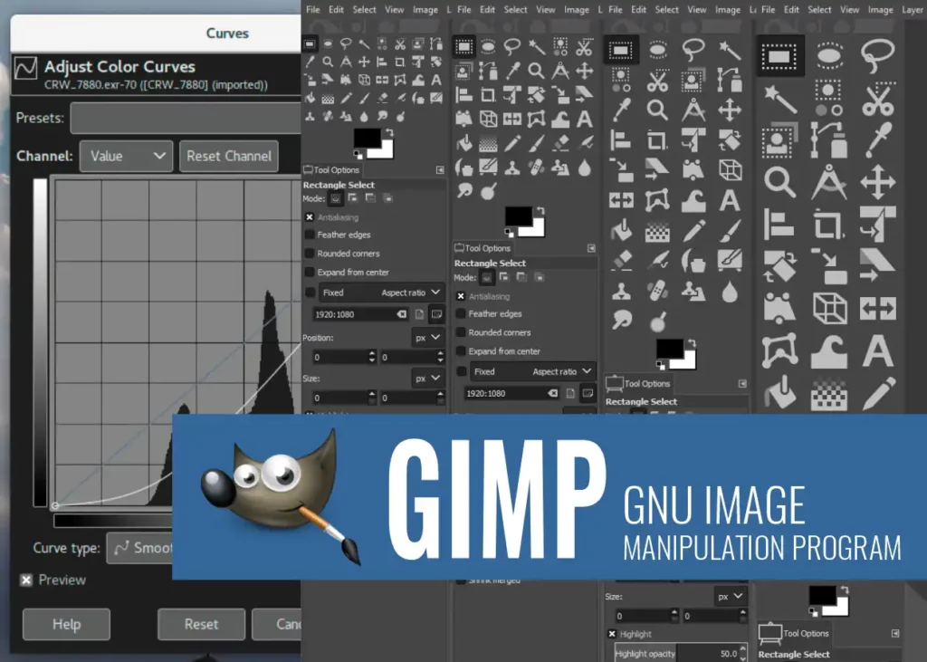 gimp