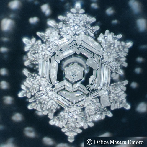 masaru emoto sample