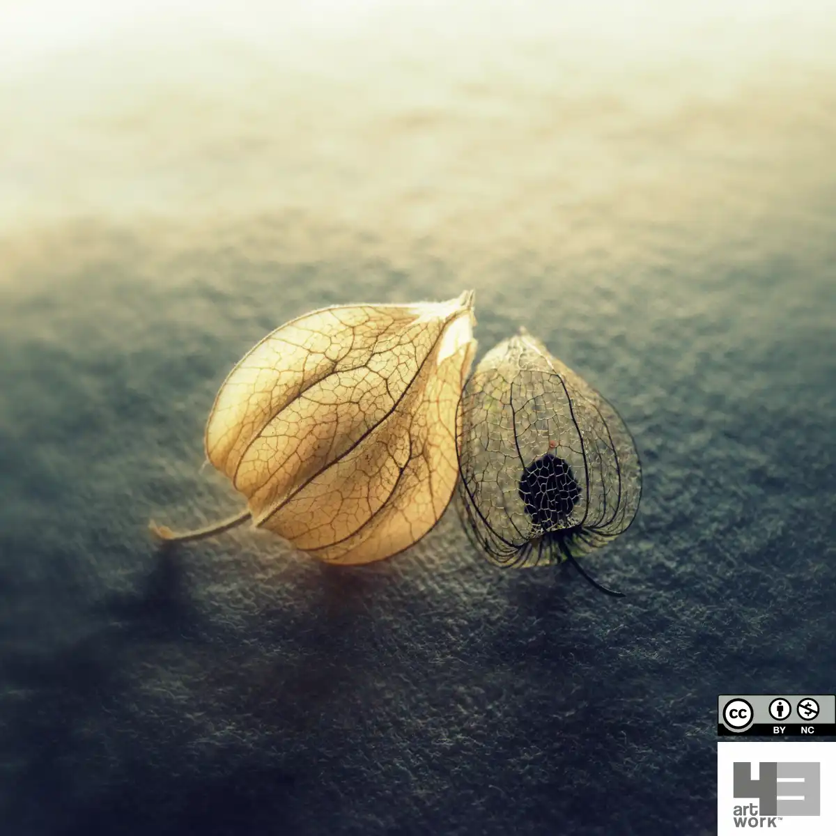 Lightness